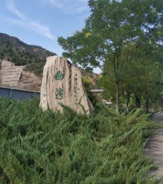 米脂游记图文-听自己的脚步，感受一路风情------2020年暑期行