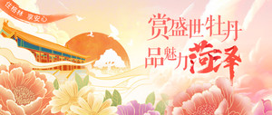 菏泽游记图文-赏盛世牡丹，品魅力菏泽