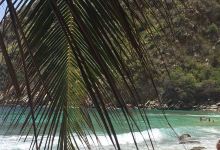 Playa Ensenada de Tuja景点图片