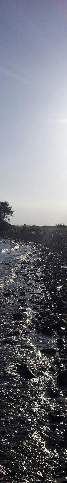 巴尔喀什湖-Balkhash District