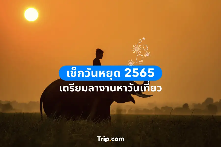 เช็กวันหยุด 2565
