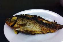 迎春饭店(峰峰路店)美食图片