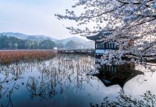 浙江旅游图片-城市串游，江南水乡风情4日游