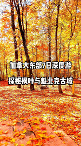 多伦多游记图文-多伦多包车游 加东深度游 追枫叶魁北克鬼怪