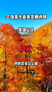 多伦多游记图文-多伦多vs蒙特利尔：加拿大最美赏枫评测-魁省翠湖山庄PK安省阿岗昆国立公园
